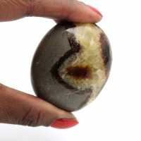 Pebbles of septaria