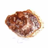 Bois fossile