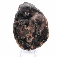 Poliertes Kieselholz aus Madagaskar