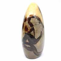 Dekorative Septarien