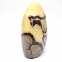 Septaria ornementale naturelle