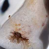 Ornamental Agate