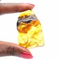 Authentique Galet d'Ambre Poli de Lituanie - Pièce de minéralogie