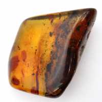 Grand Galet d'Ambre de Lituanie Poli - Minéral de Collection