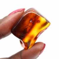 Spécimen de Galet d'Ambre Poli - Décoration Intérieure