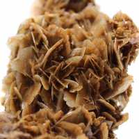 Moneda marroquí de barita con cristales marrones