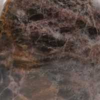 Pierre de pierre de lune noir microline polie