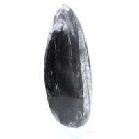 Fossil of orthoceras from morocco