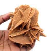 Rose des sables brut
