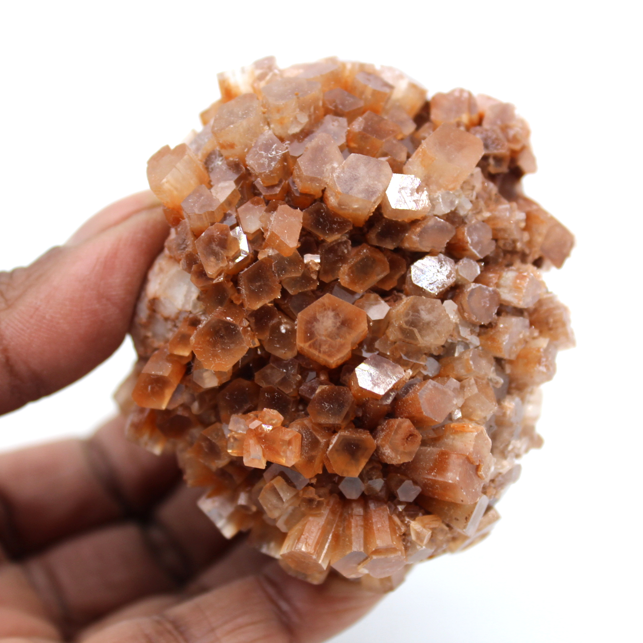 Crystallized aragonite