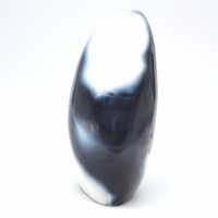 Forme libre polie en Agate