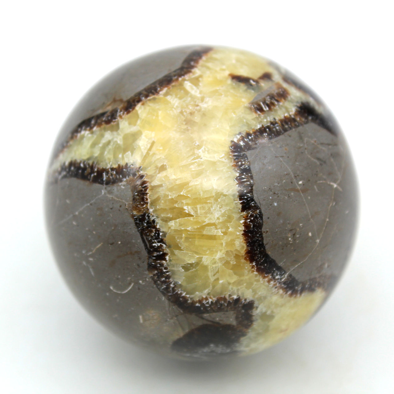 Sphère en septaria