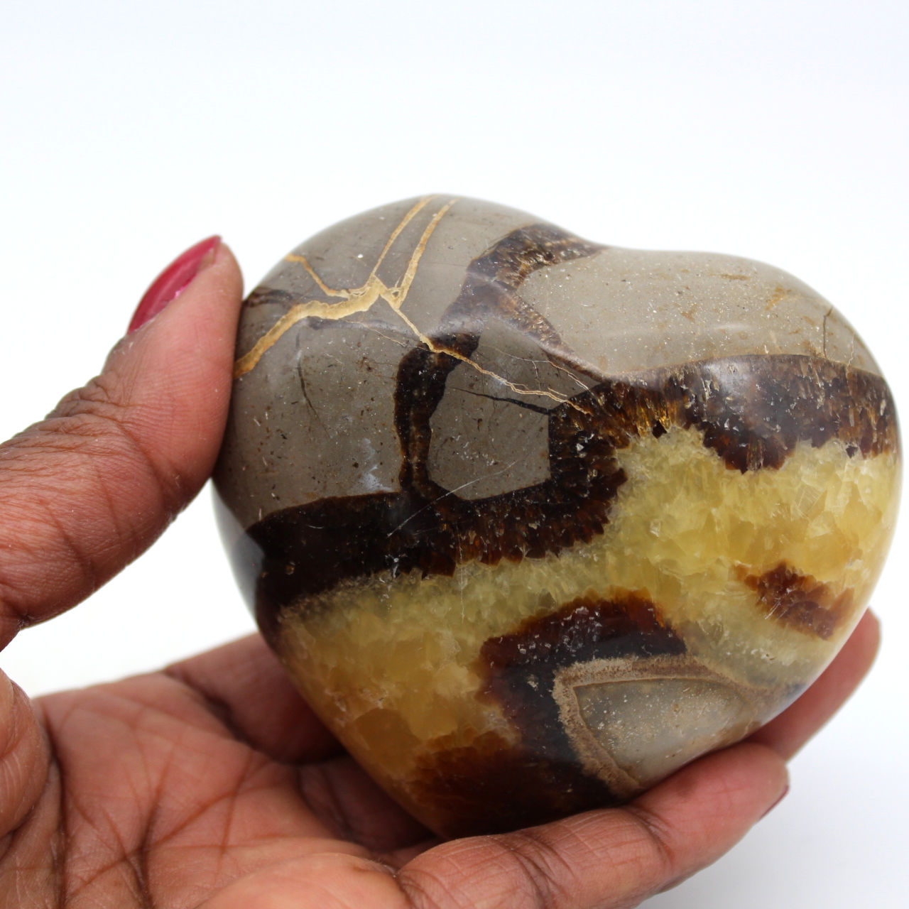 Heart in septaria