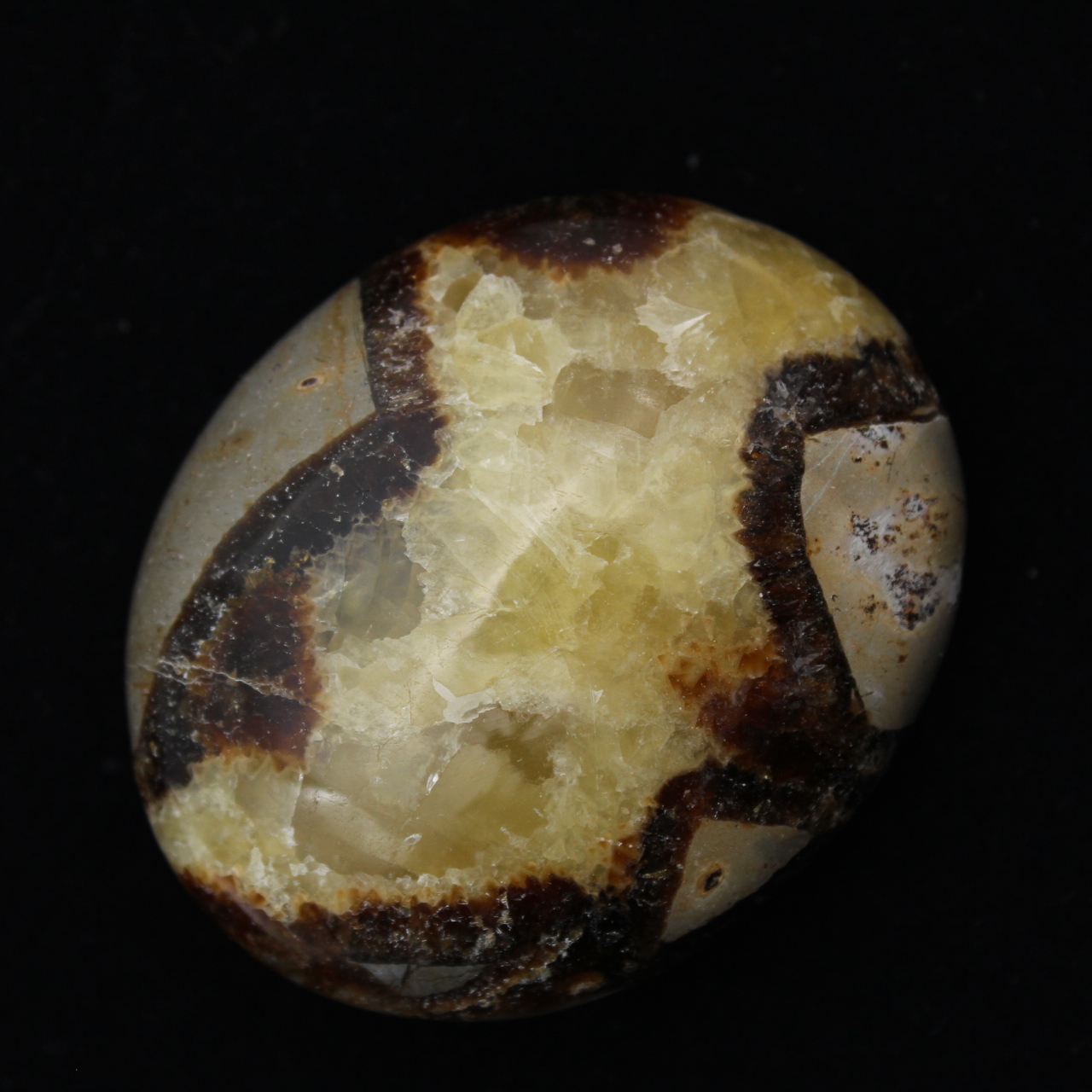 Pebbles of septaria