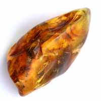 Amber steen verkoop