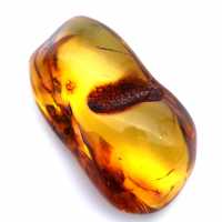 Amber stone sale