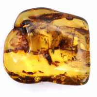 Fossil amber