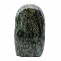 Jaspe kambamba polie de collection