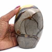 Septaria polie
