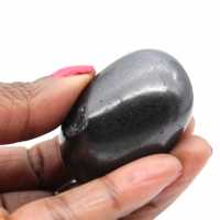 Shungite de collection