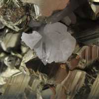Grands cristaux de pyrite avec calcite