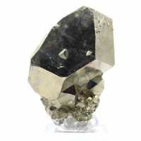 Cristaux de pyrite du Pérou sur socle