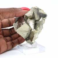 Pyrite crystals on base