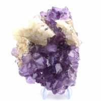 Drusa di ametista con calcite