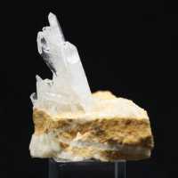 Quartz Faden Himalaya