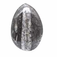 Polierte Orthoceras aus Marokko