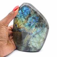 Labradorite lucidata Forma lucidata