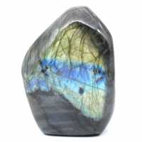 Labradorite lucidata Forma lucidata