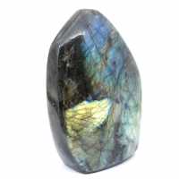 Labradorite lucidata Forma lucidata