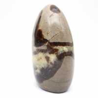 Septaria naturelle d'ornement