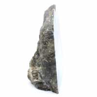 Collectible Polished Labradorite
