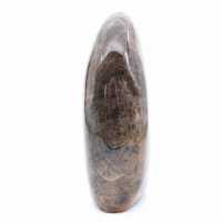 Microcline noire naturelle de collection