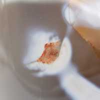 Pierre naturelle de Agate