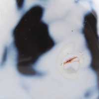 Agata naturale da collezione