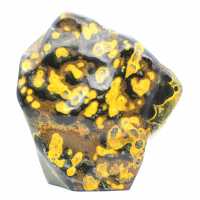 Jasper Bumblebee