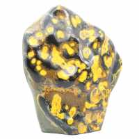 Jasper Bumblebee