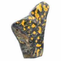 Jasper Bumblebee