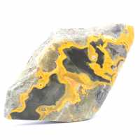 Jasper Bumblebee