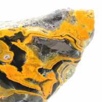 Jasper Bumblebee