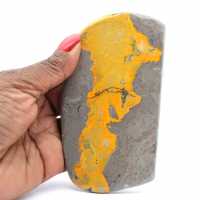 Bumblebee Jasper