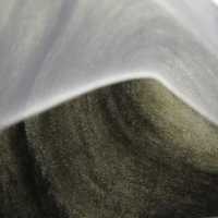 Gouden Obsidiaan Steen uit Mexico