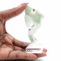 Tranche en pierre d’Aragonite verte authentique et polie