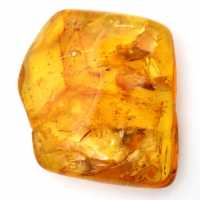 Amber stone sale
