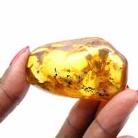 Guijarro de ámbar amarillo para decoración y muestra científica