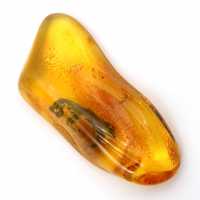 Ambre jaune fossile de la Baltique – Galet authentique