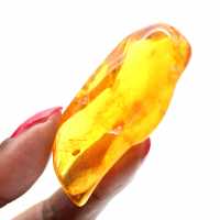 Ámbar amarillo de Lituania: guijarro natural y auténtico